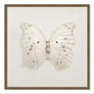 West Elm Framed Print, Ivory Wings, 34 Inch Square